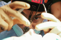 Интенсивный курс «Сохраняющая и структурная ринопластика»